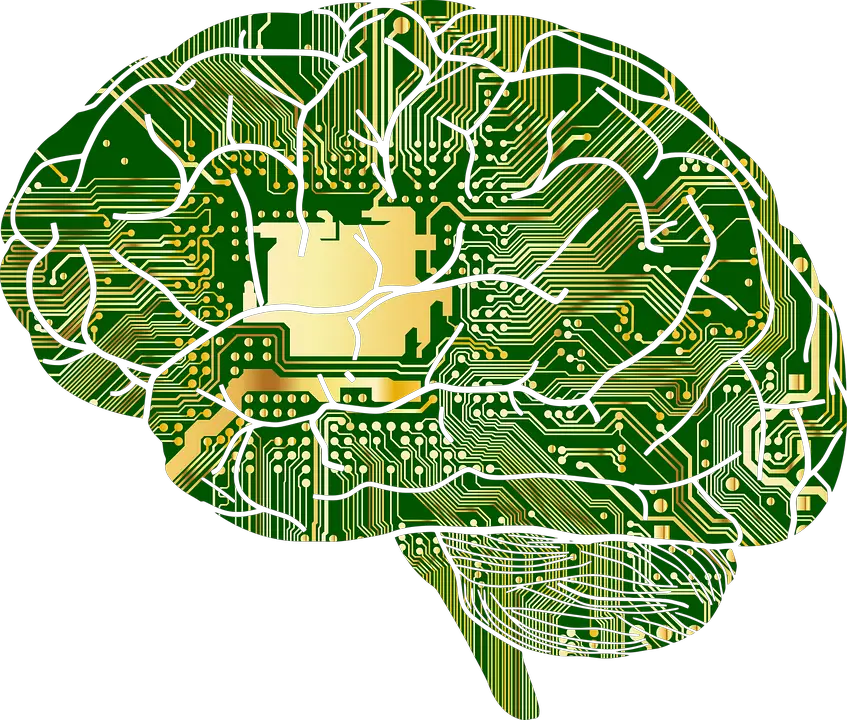 psicologia e dominio cognitivo
