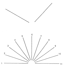 test per la percezione visiva in caso di deficit neuropsicologico