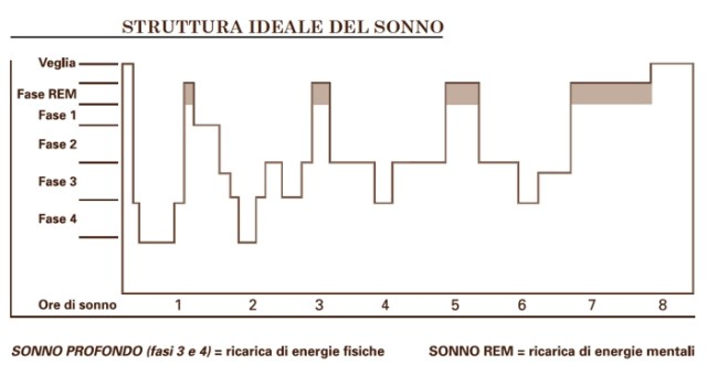 sonno fase rem