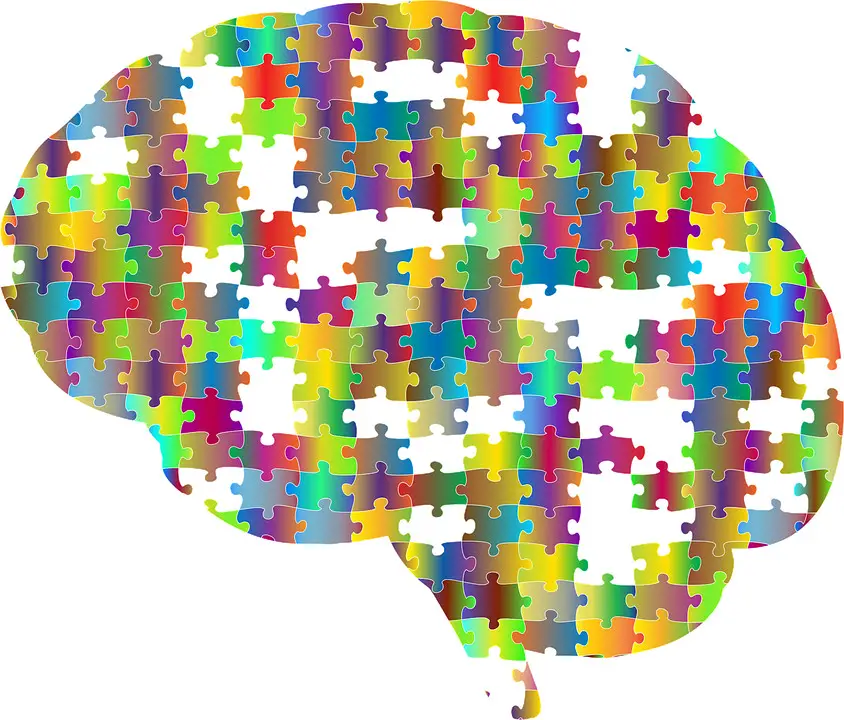 cervello e funzioni cognitive 