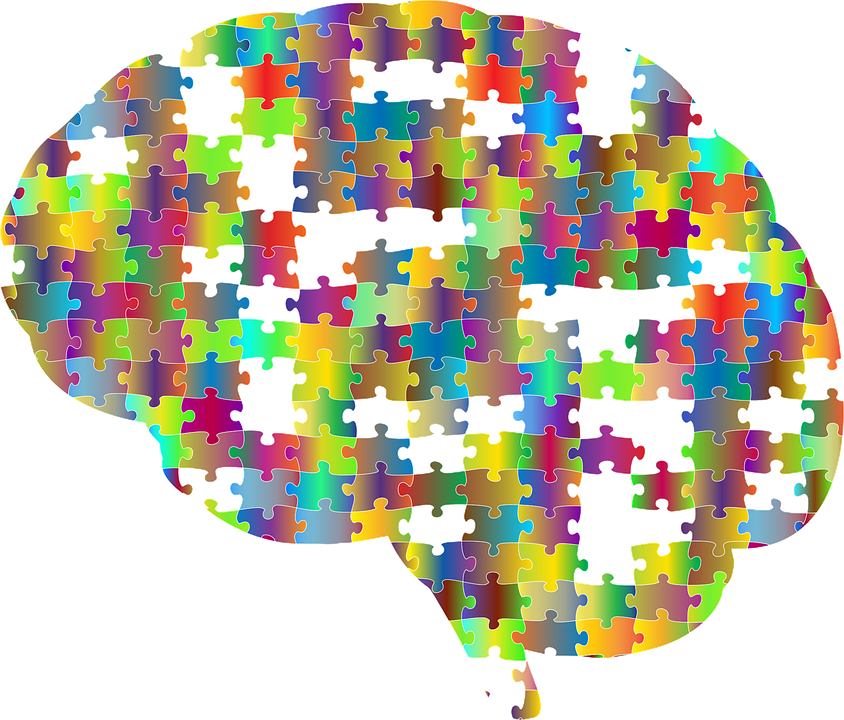 cervello e funzioni cognitive 