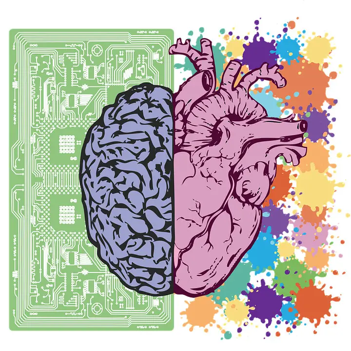 intelligenza emotiva