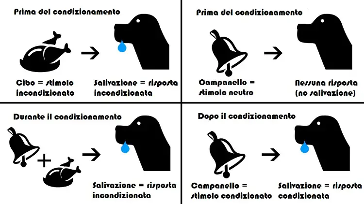 condizionamento classico pavlov