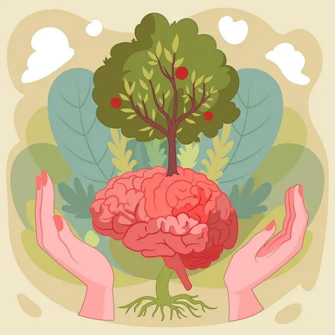 cervello mindfulness