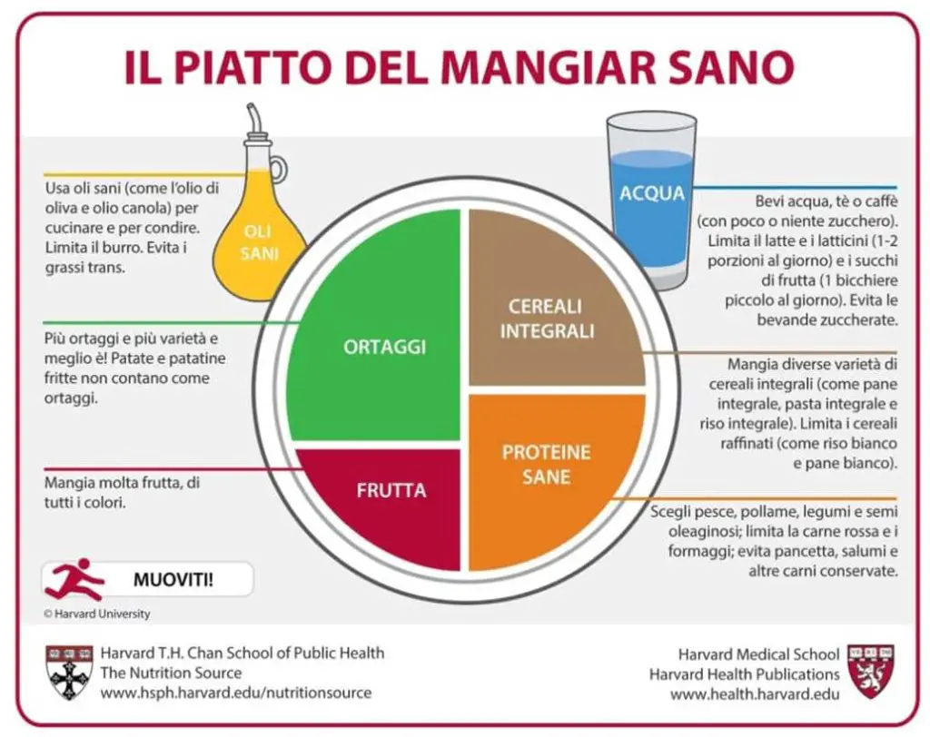 piatto del mangiare sano