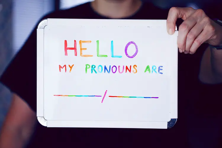 pronome trans