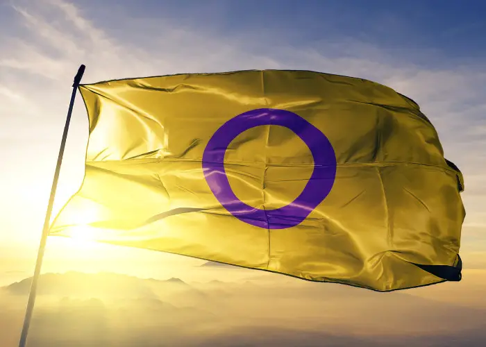 intersex flag