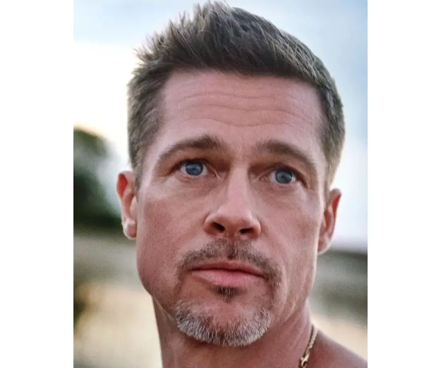 Brad pitt
