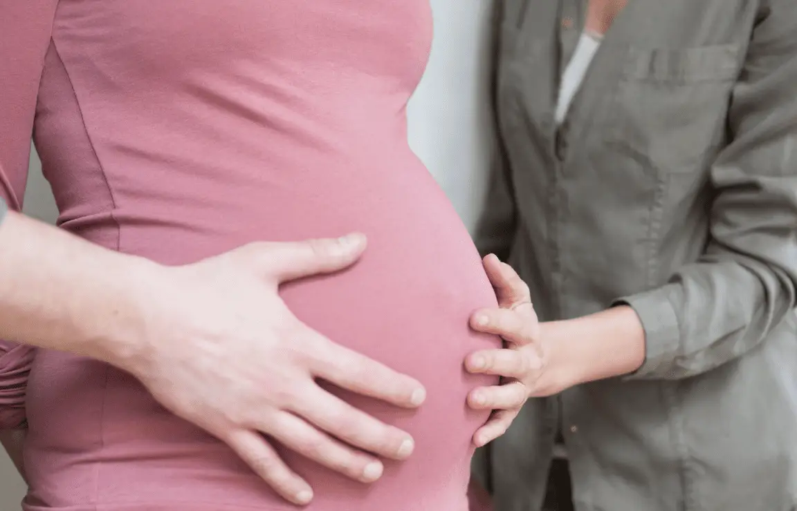Gestazione per altri